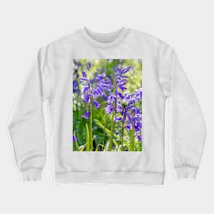 Spring Bluebells Crewneck Sweatshirt